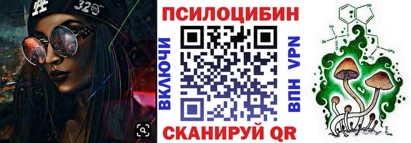 Псилоцибиновые грибы GOLDEN TEACHER где найти Сусуман