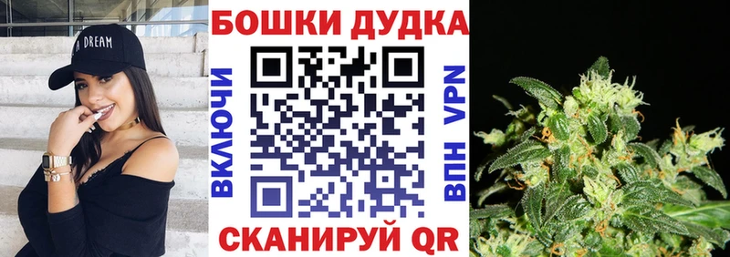 наркотики  Сусуман  Канабис Amnesia 